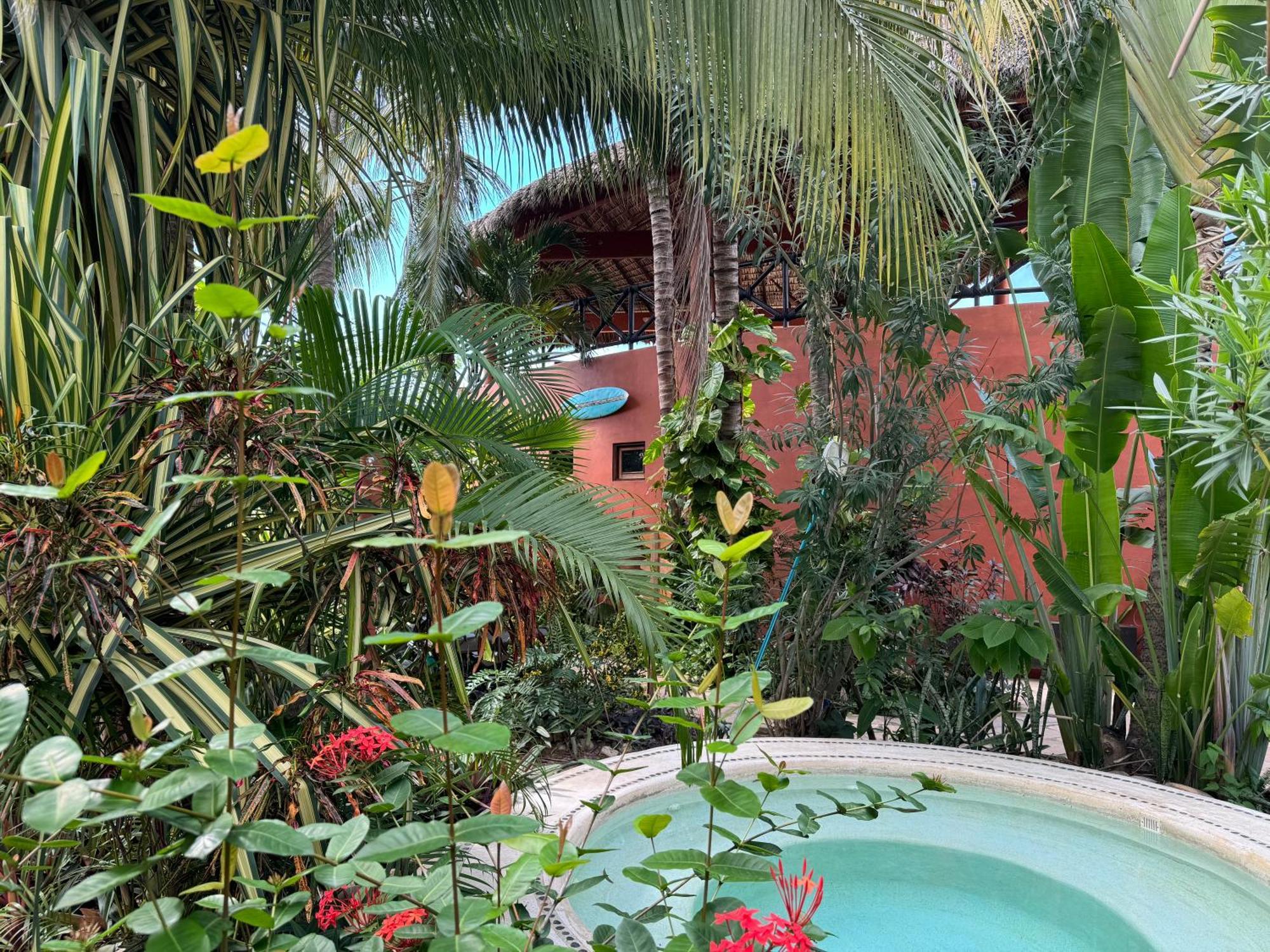 One Love Hostal Puerto Escondido Puerto Escondido (Oaxaca) Exterior foto