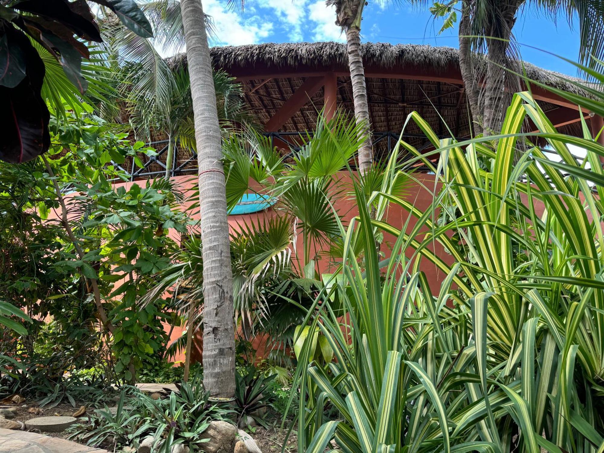 One Love Hostal Puerto Escondido Puerto Escondido (Oaxaca) Exterior foto