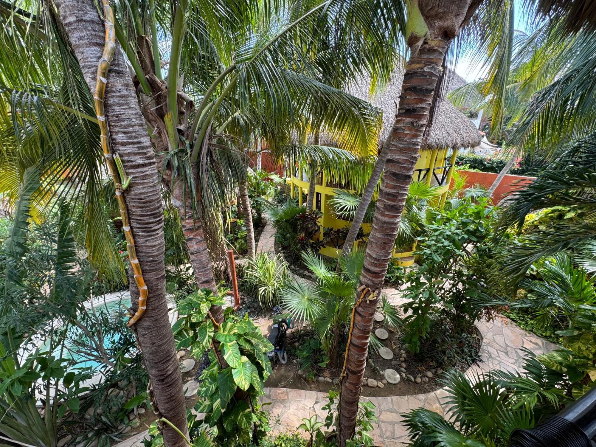 One Love Hostal Puerto Escondido Puerto Escondido (Oaxaca) Exterior foto