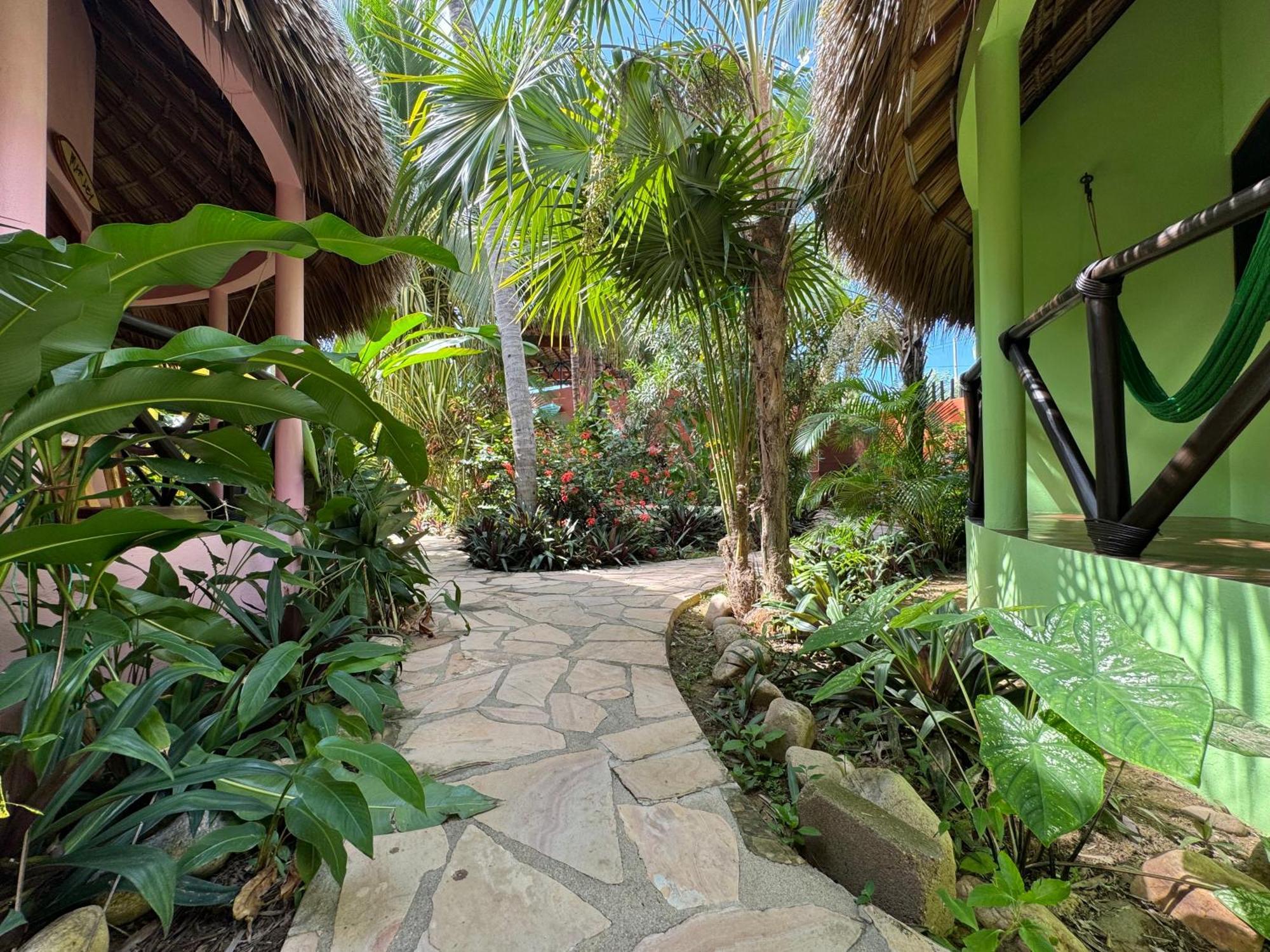 One Love Hostal Puerto Escondido Puerto Escondido (Oaxaca) Exterior foto