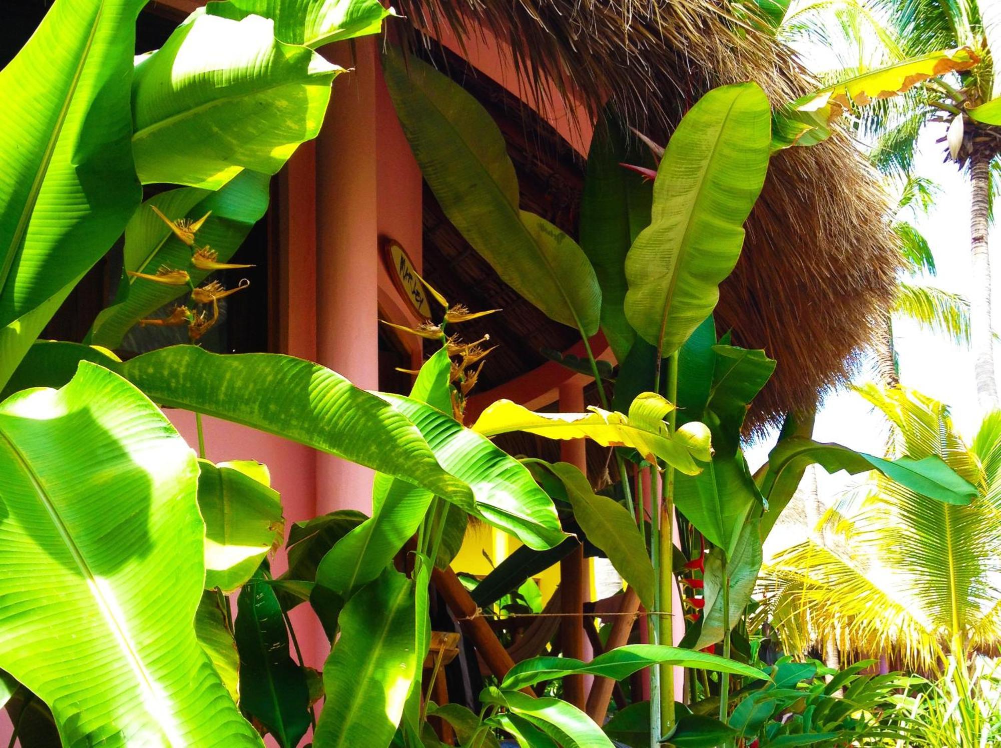 One Love Hostal Puerto Escondido Puerto Escondido (Oaxaca) Exterior foto