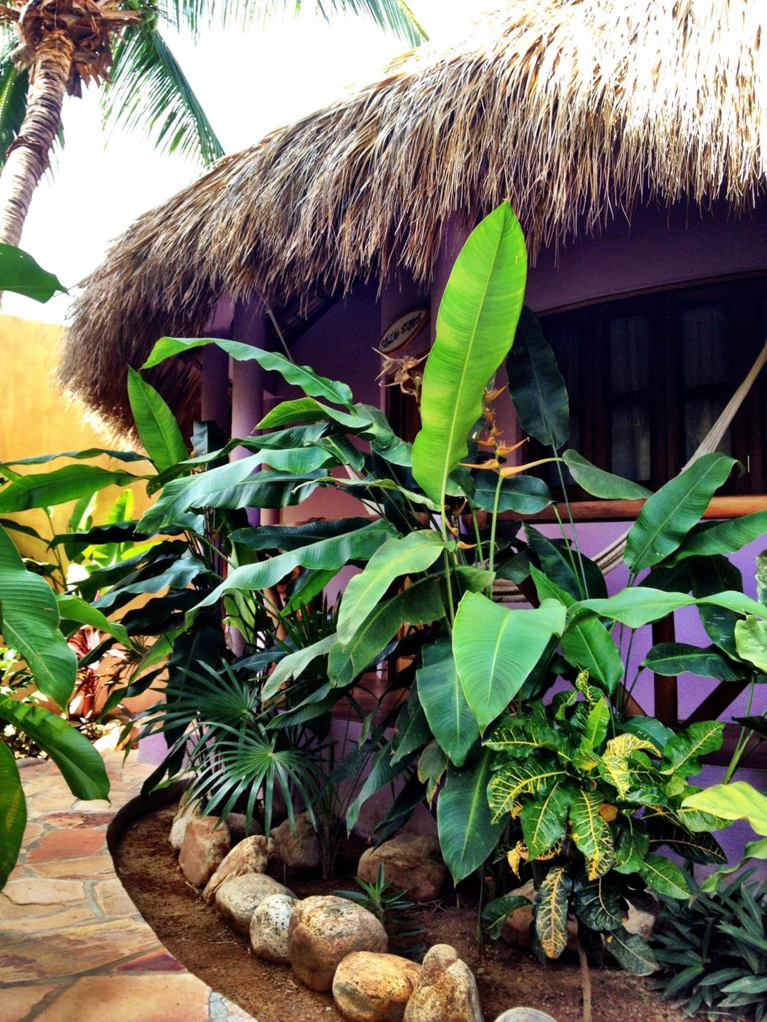 One Love Hostal Puerto Escondido Puerto Escondido (Oaxaca) Quarto foto